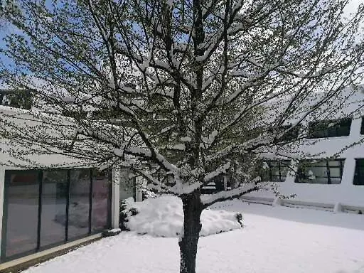 3 Etoiles Lumineux Sauna Piscine Au Royal Milan St Lary 6 Pers Apartman *